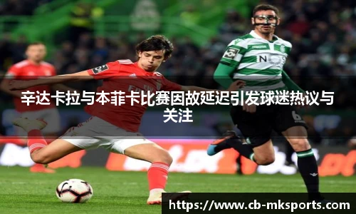 mk体育官方网站